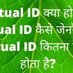 Virtual ID kya Hai