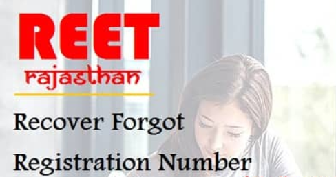 reet registration number