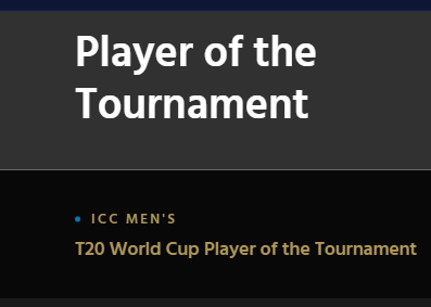 ICC Player Of The Tournament 2022 Vote