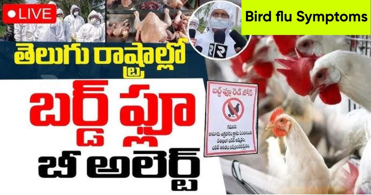 Telangana Alert on Bird flu